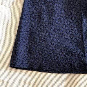 Margaret M Navy Skirt from Stitchfix